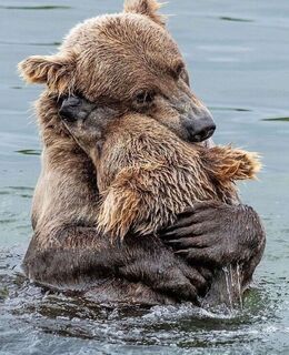 ivanovzhenya2808@gmail.com